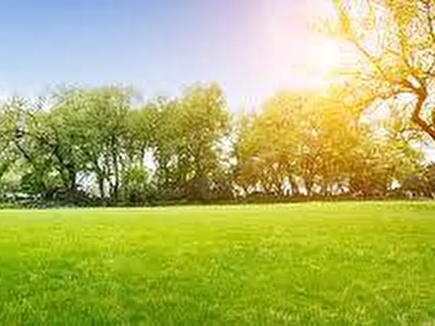 Immagine 2 di Terreno residenziale in vendita  a Alzano Lombardo