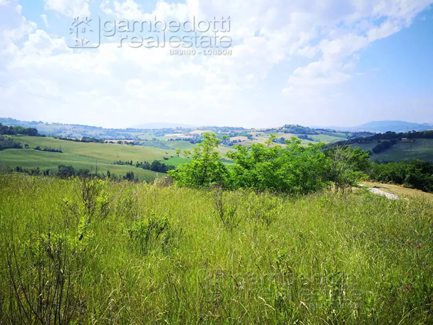 Immagine 7 di Rustico / casale in vendita  a Terre Roveresche