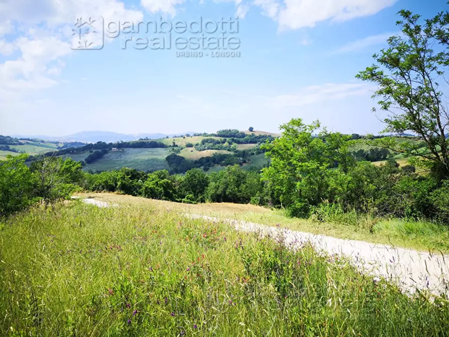 Immagine 5 di Rustico / casale in vendita  a Terre Roveresche