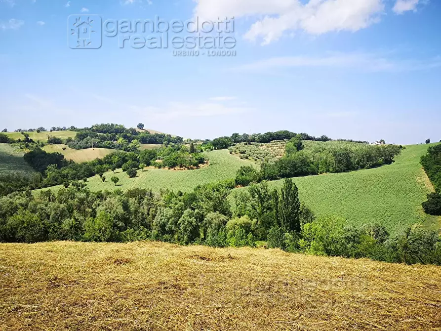 Immagine 2 di Rustico / casale in vendita  a Terre Roveresche