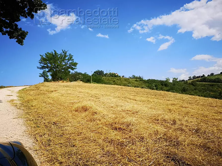 Immagine 3 di Rustico / casale in vendita  a Terre Roveresche