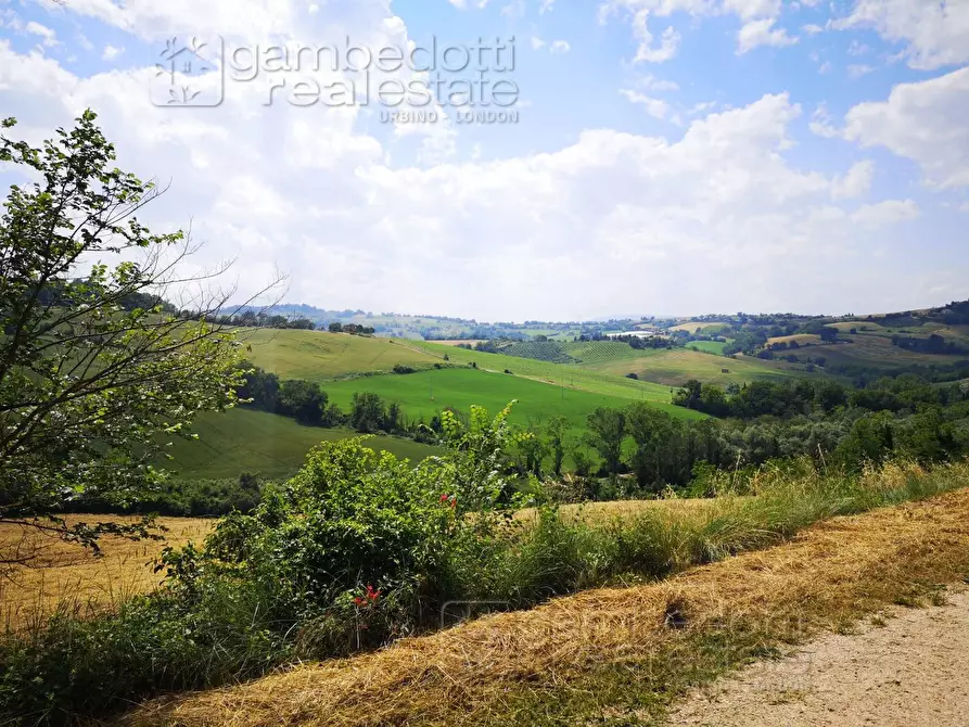 Immagine 4 di Rustico / casale in vendita  a Terre Roveresche