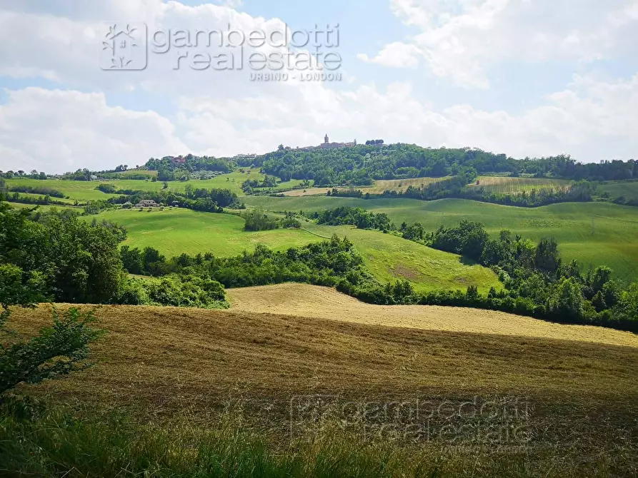 Immagine 8 di Rustico / casale in vendita  a Terre Roveresche