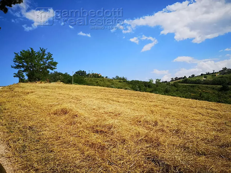 Immagine 6 di Rustico / casale in vendita  a Terre Roveresche