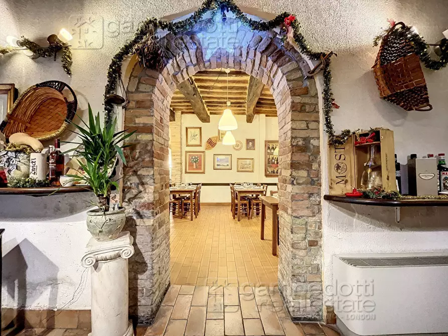 Immagine 3 di Attività commerciale in vendita  a Urbino