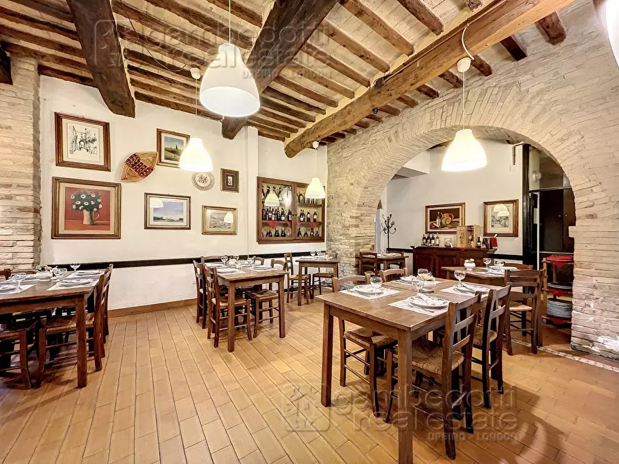 Immagine 5 di Attività commerciale in vendita  a Urbino