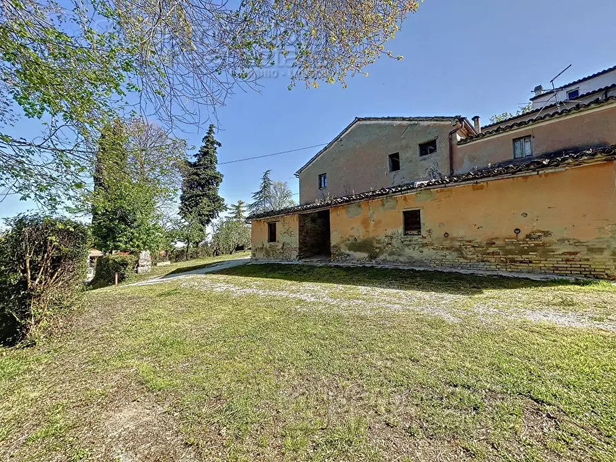 Immagine 5 di Rustico / casale in vendita  a Petriano