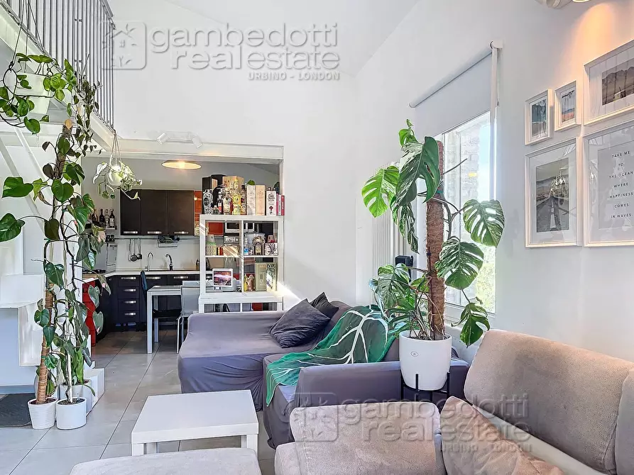Immagine 3 di Appartamento in vendita  a Urbino
