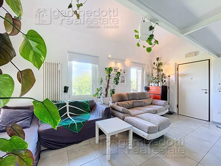 Immagine 5 di Appartamento in vendita  a Urbino