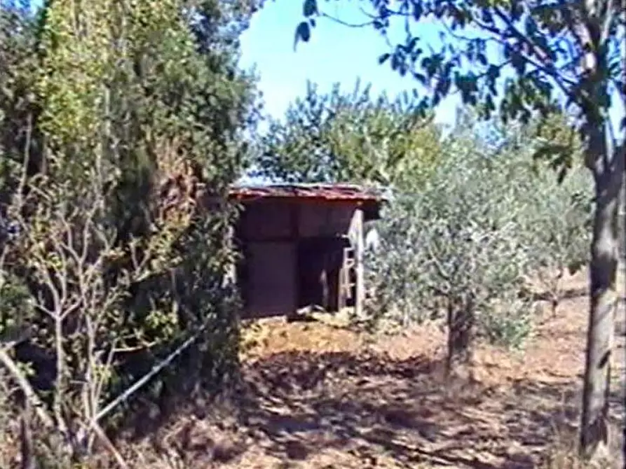 Immagine 1 di Terreno residenziale in vendita  in Via Romagnoli a Roma