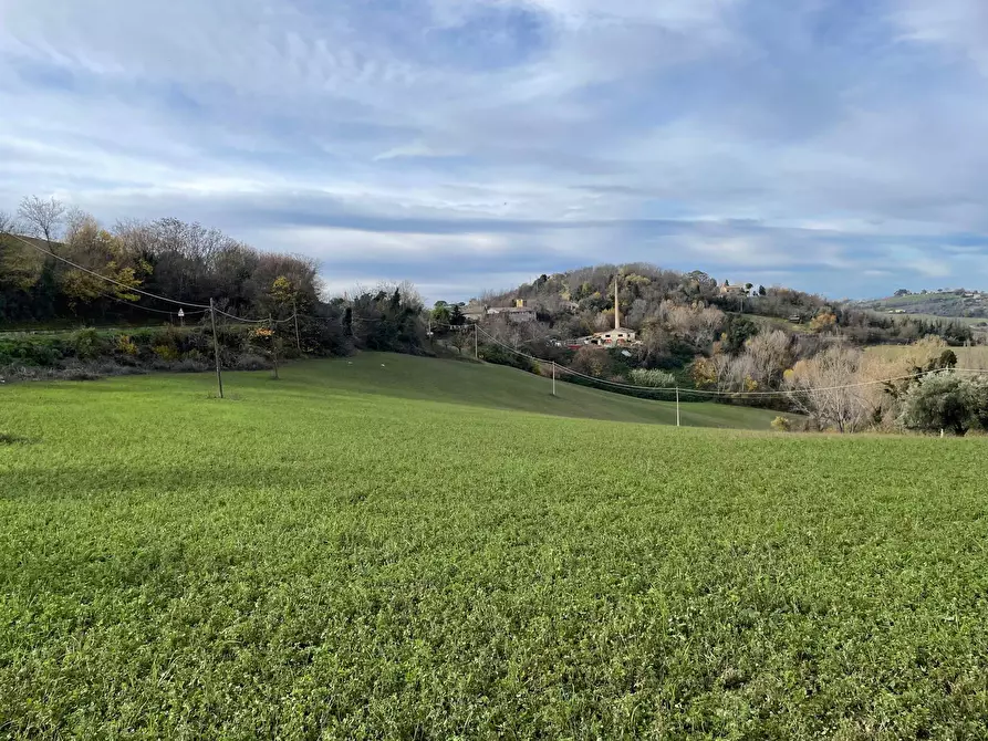 Immagine 5 di Rustico / casale in vendita  in petritoli a Petritoli