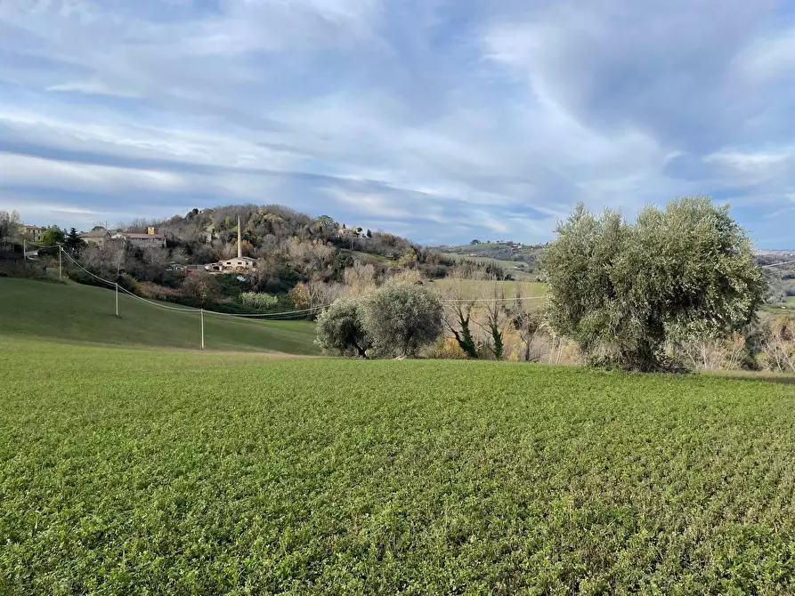 Immagine 7 di Rustico / casale in vendita  in petritoli a Petritoli