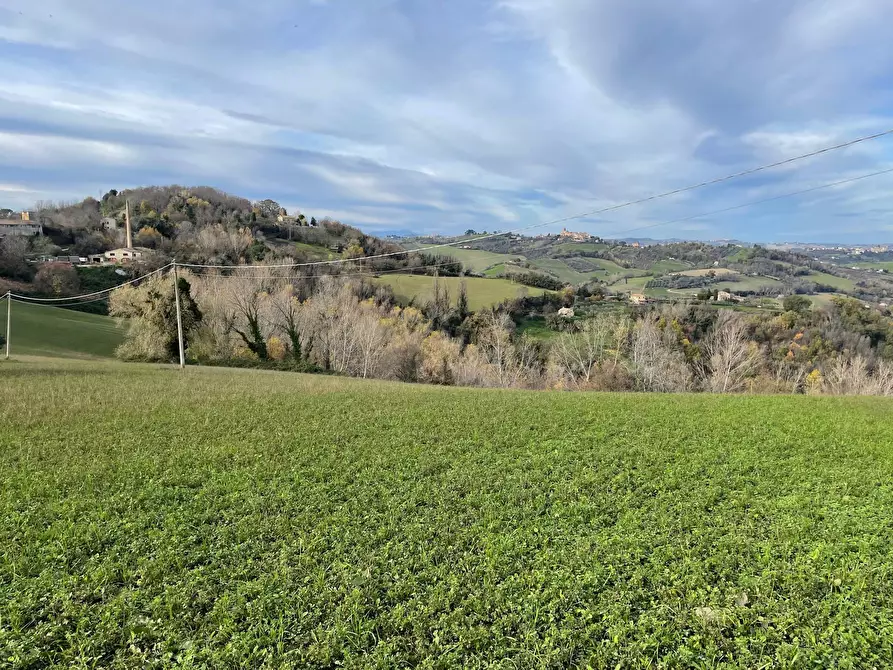 Immagine 8 di Rustico / casale in vendita  in petritoli a Petritoli