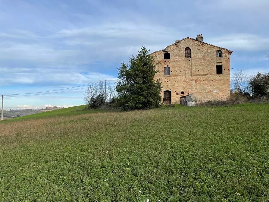 Immagine 9 di Rustico / casale in vendita  in petritoli a Petritoli