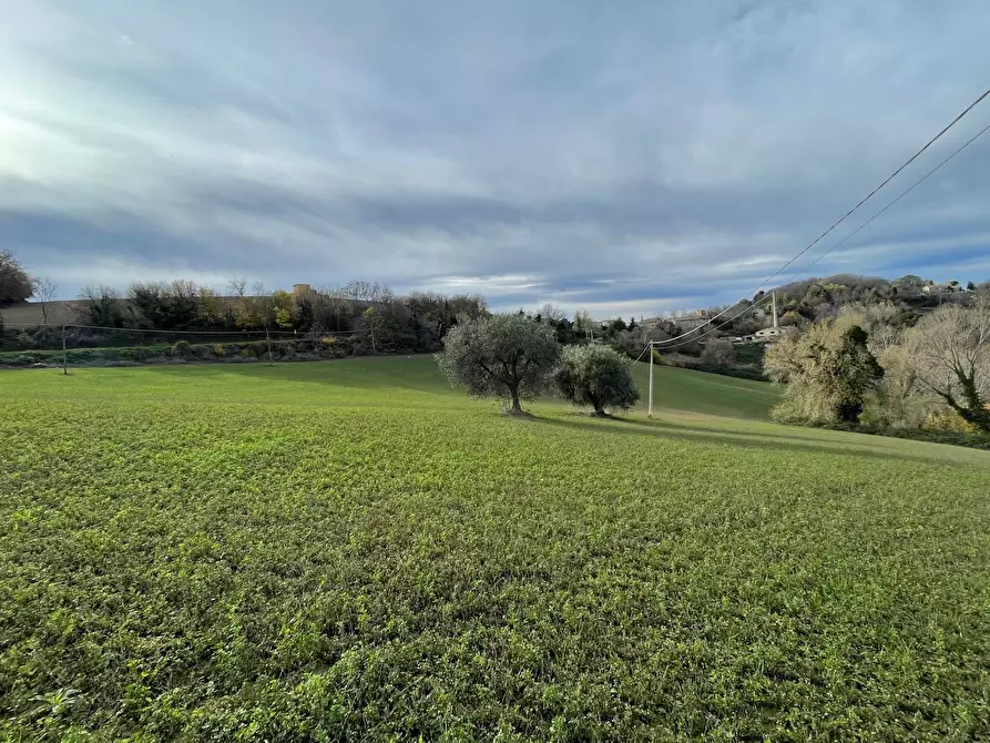 Immagine 10 di Rustico / casale in vendita  in petritoli a Petritoli