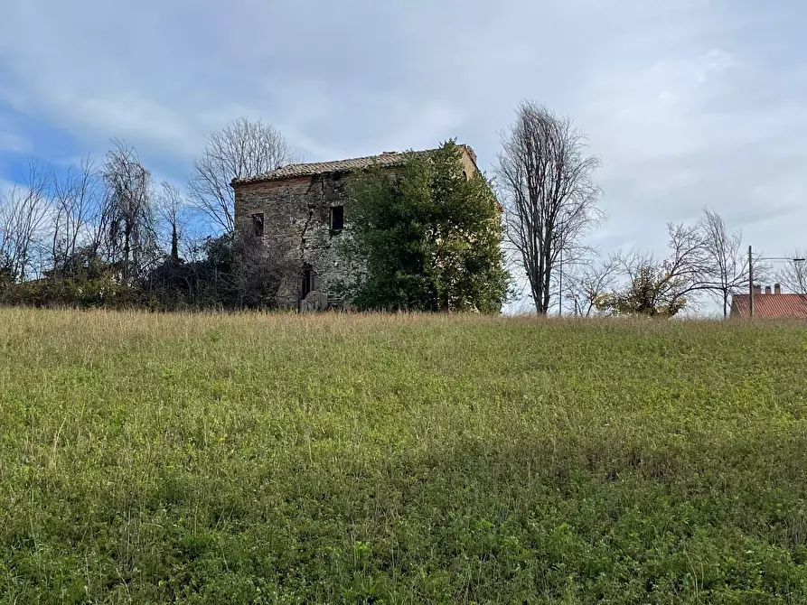 Immagine 11 di Rustico / casale in vendita  in petritoli a Petritoli