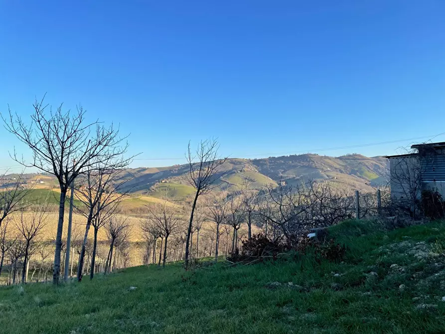Immagine 6 di Casa indipendente in vendita  in contrada san venanzo a Castignano