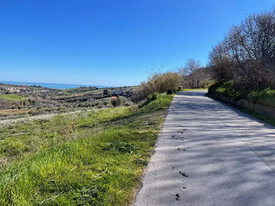 Immagine 5 di Terreno agricolo in vendita  a Acquaviva Picena