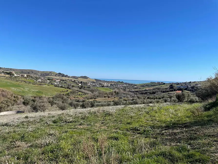Immagine 1 di Terreno agricolo in vendita  a Acquaviva Picena