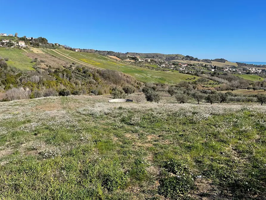 Immagine 4 di Terreno agricolo in vendita  a Acquaviva Picena