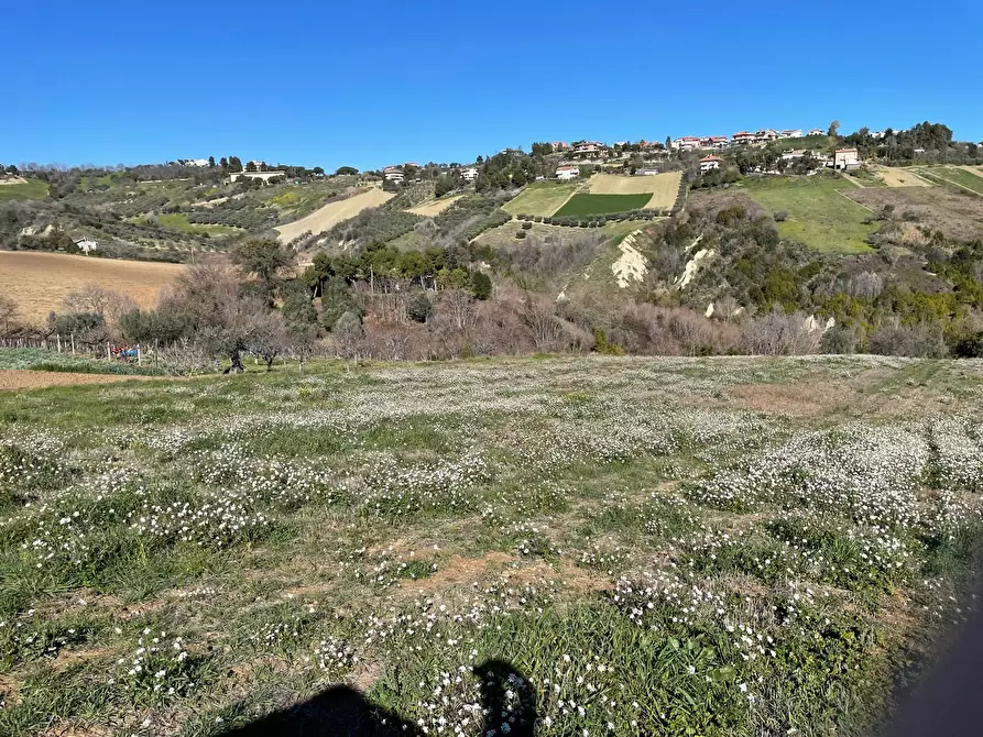 Immagine 6 di Terreno agricolo in vendita  a Acquaviva Picena