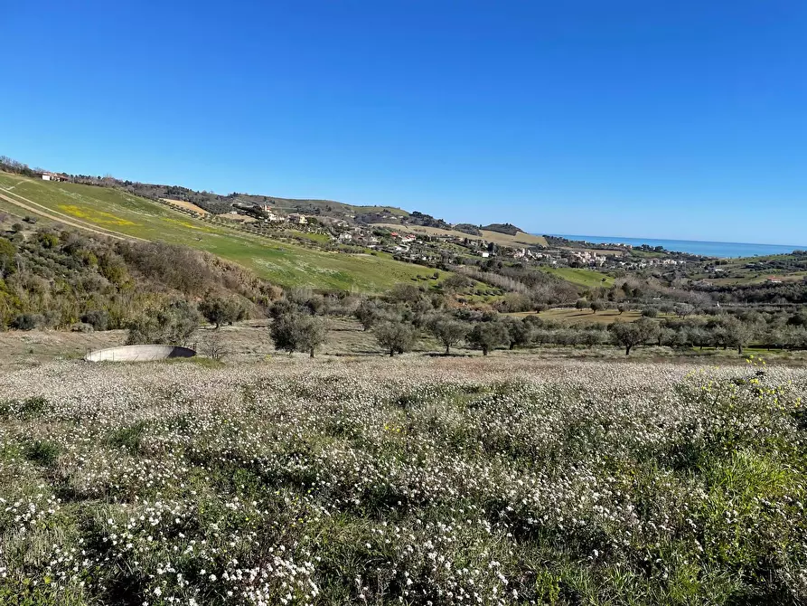 Immagine 2 di Terreno agricolo in vendita  a Acquaviva Picena