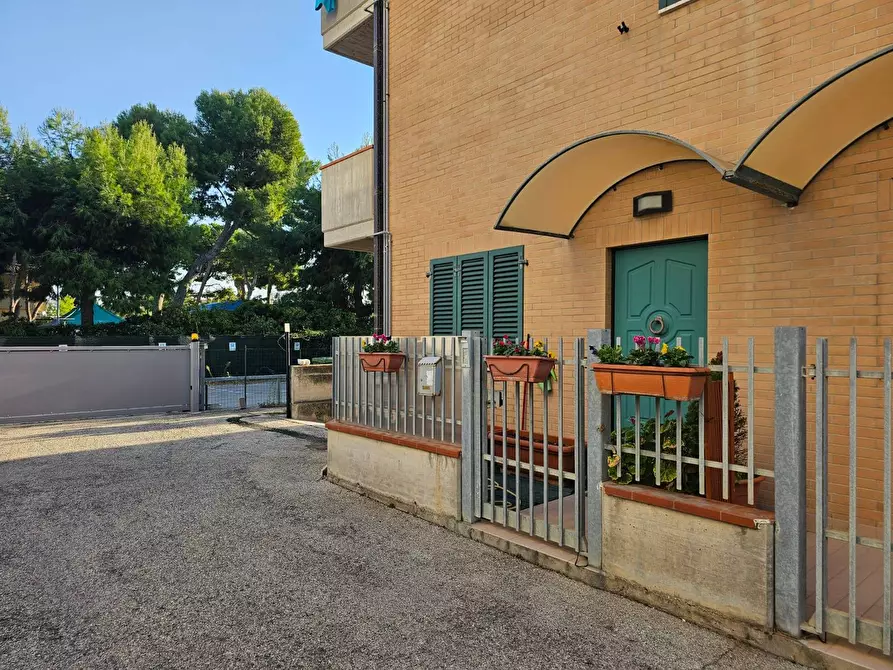 Immagine 3 di Appartamento in vendita  in via trieste a Porto Sant'elpidio