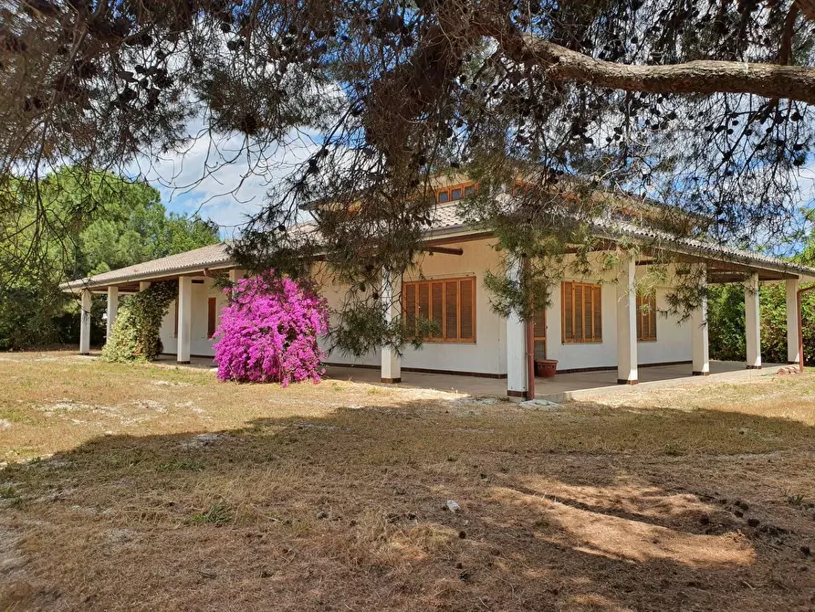 Immagine 1 di Villa in vendita  a Colonnella