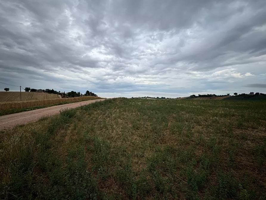 Immagine 2 di Terreno agricolo in vendita  in contrada montefiore a Recanati
