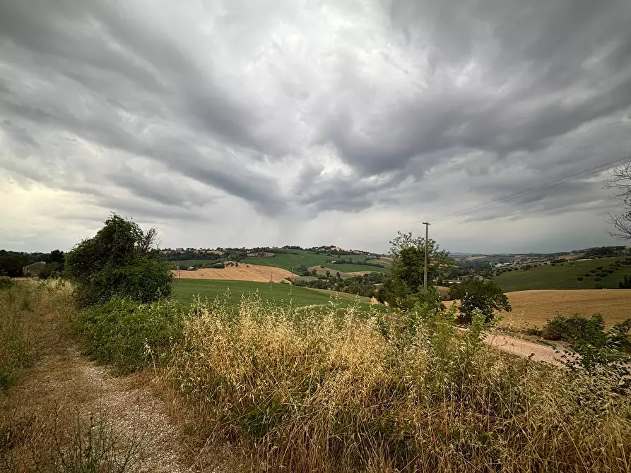 Immagine 1 di Terreno agricolo in vendita  in contrada montefiore a Recanati