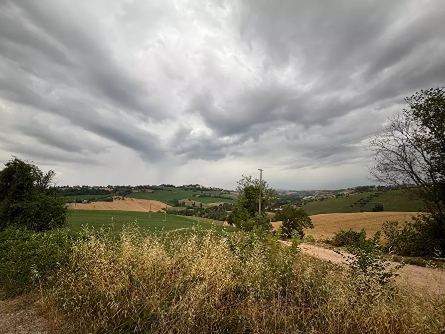Immagine 3 di Terreno agricolo in vendita  in contrada montefiore a Recanati