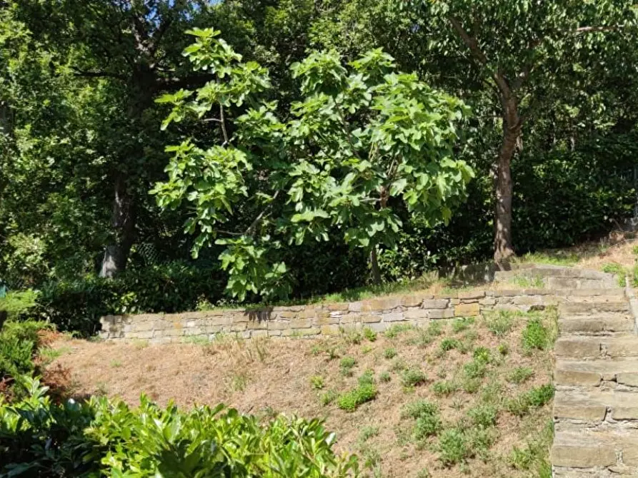 Immagine 5 di Villa in vendita  in Gameragna a Celle Ligure