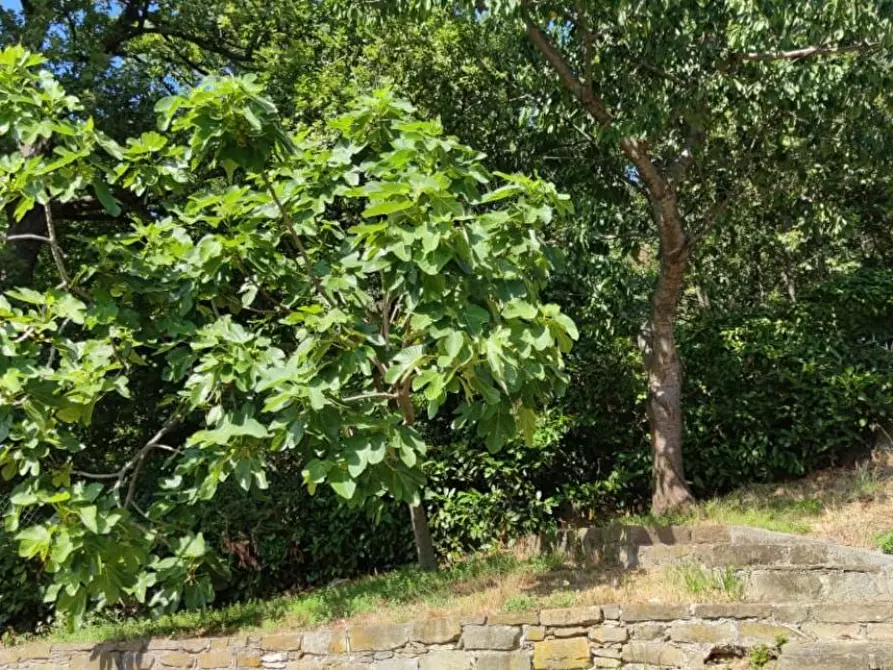 Immagine 8 di Villa in vendita  in Gameragna a Celle Ligure