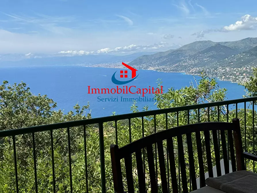 Immagine 26 di Villa in vendita  in Via Franco Molfino a Camogli