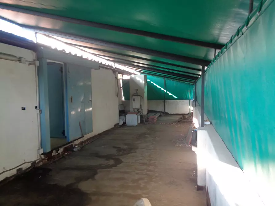 Immagine 14 di Ufficio in vendita  in Via da palestrina a Firenze