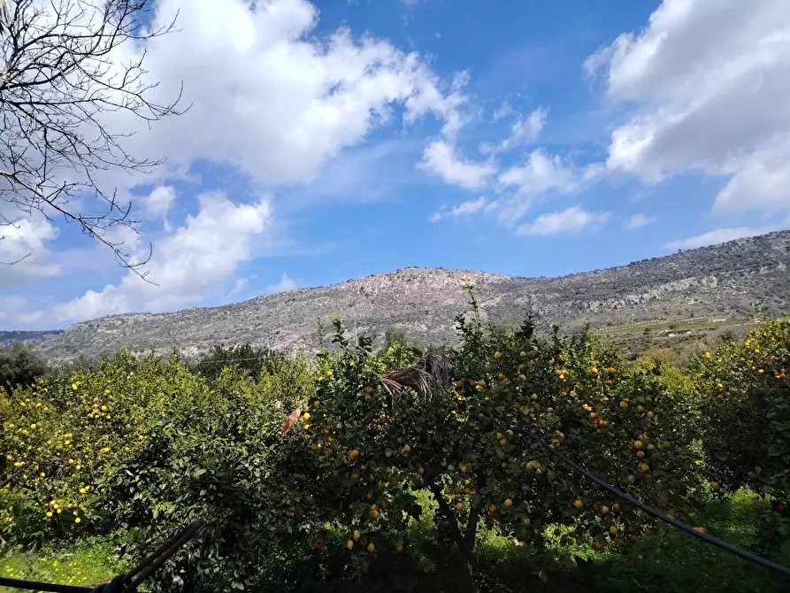 Immagine 8 di Palazzo in vendita  in CONTRADA PIANO MANGANO a Sortino