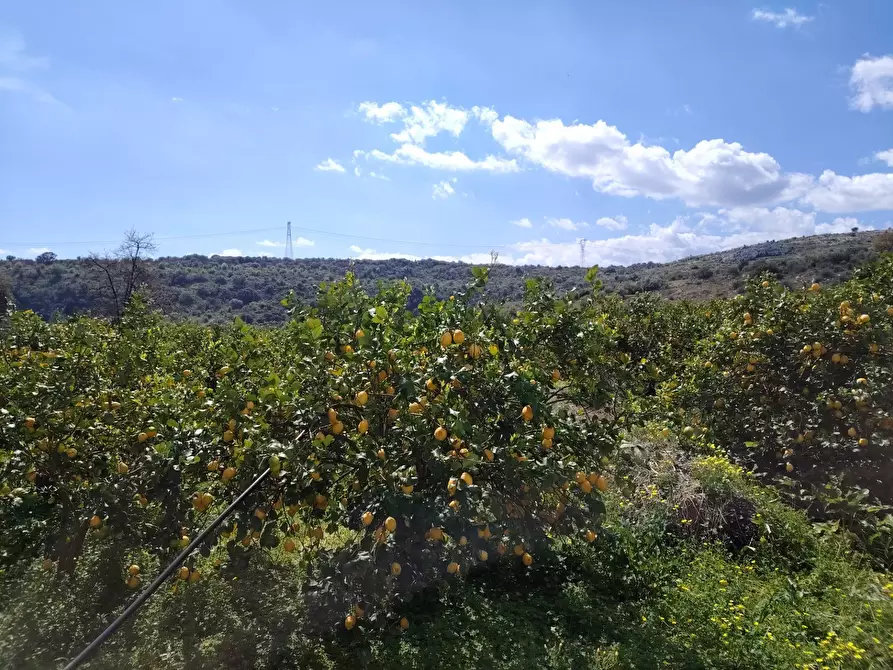 Immagine 9 di Palazzo in vendita  in CONTRADA PIANO MANGANO a Sortino
