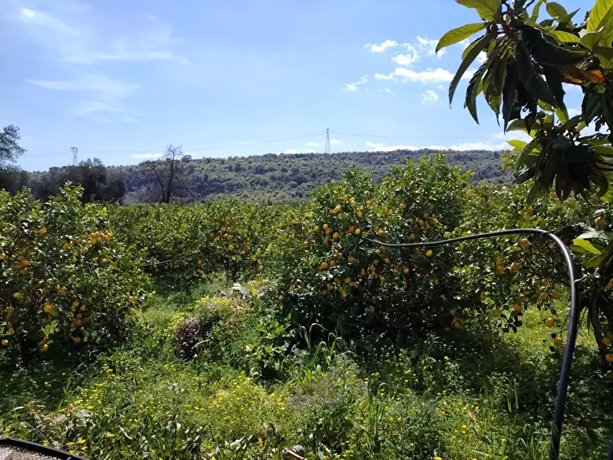 Immagine 10 di Palazzo in vendita  in CONTRADA PIANO MANGANO a Sortino
