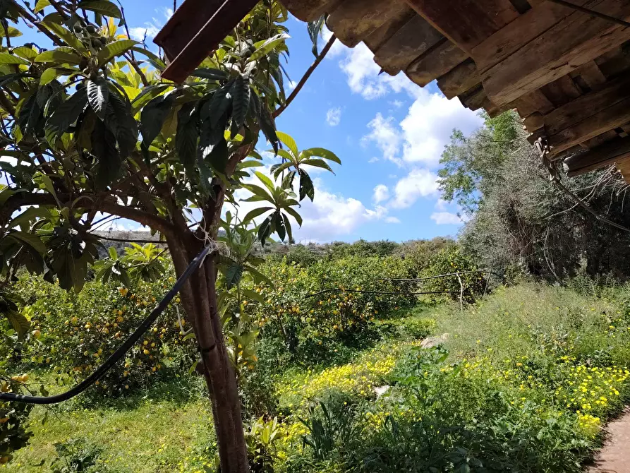 Immagine 11 di Palazzo in vendita  in CONTRADA PIANO MANGANO a Sortino