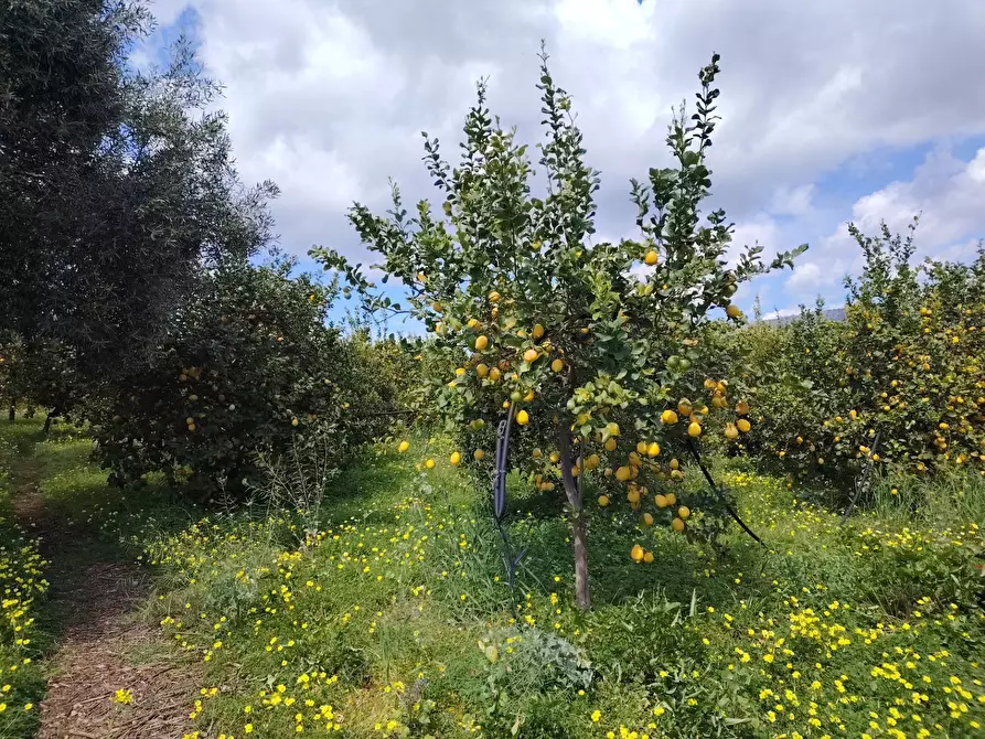 Immagine 13 di Palazzo in vendita  in CONTRADA PIANO MANGANO a Sortino