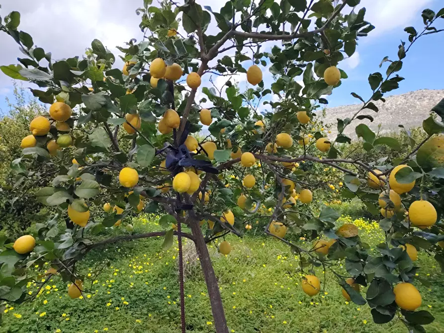 Immagine 14 di Palazzo in vendita  in CONTRADA PIANO MANGANO a Sortino