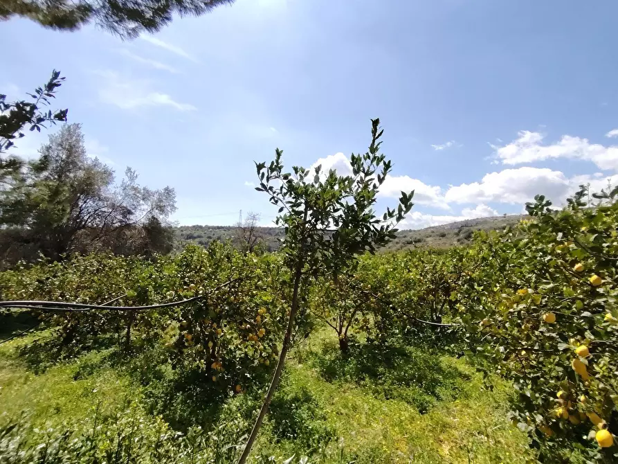 Immagine 15 di Palazzo in vendita  in CONTRADA PIANO MANGANO a Sortino