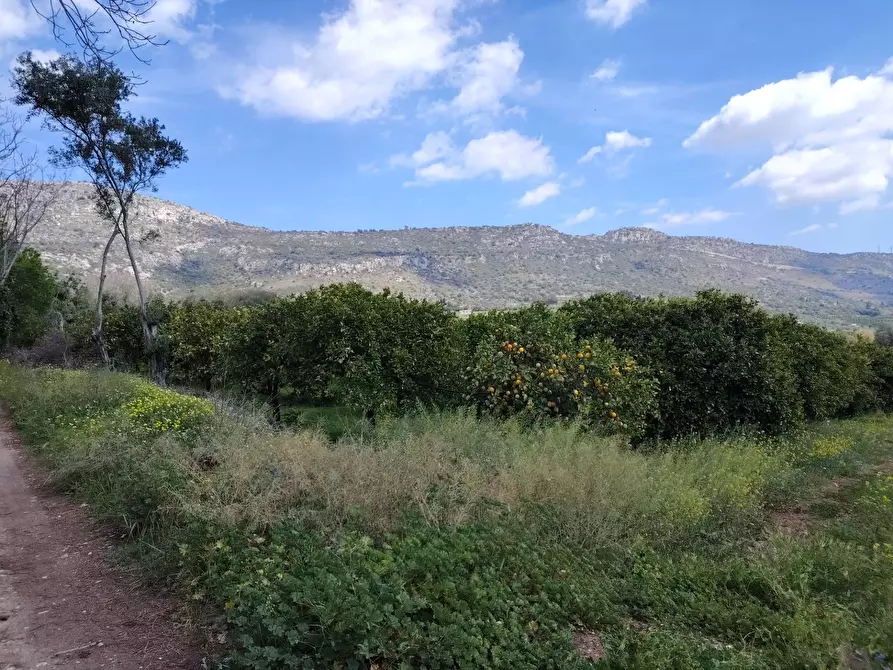 Immagine 16 di Palazzo in vendita  in CONTRADA PIANO MANGANO a Sortino