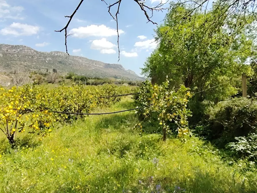 Immagine 17 di Palazzo in vendita  in CONTRADA PIANO MANGANO a Sortino