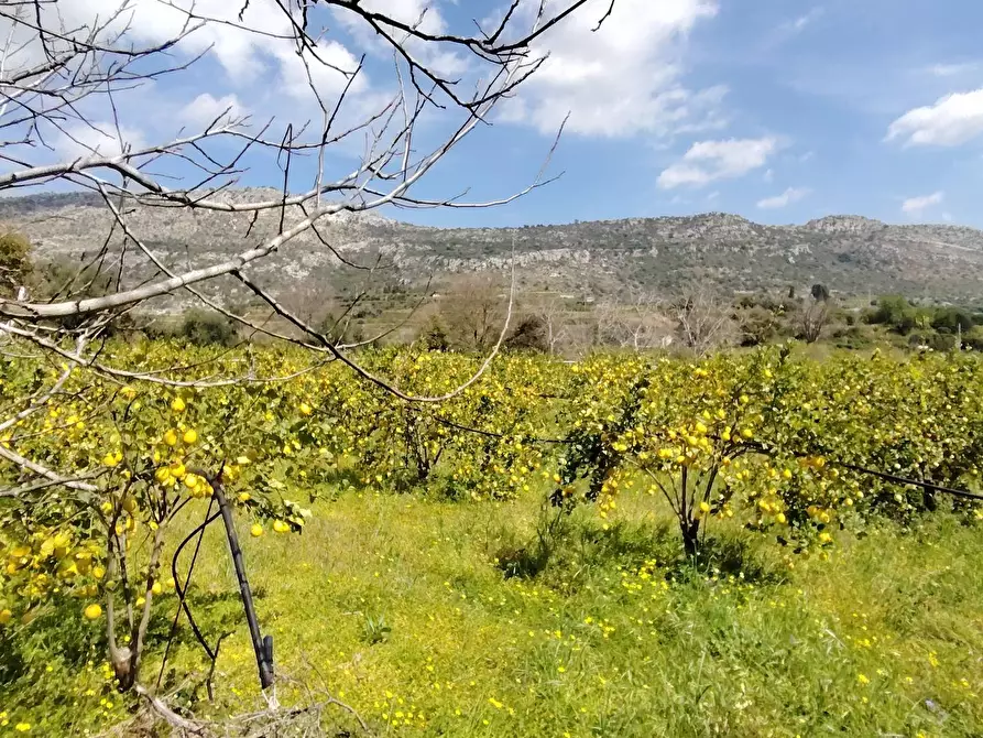 Immagine 18 di Palazzo in vendita  in CONTRADA PIANO MANGANO a Sortino