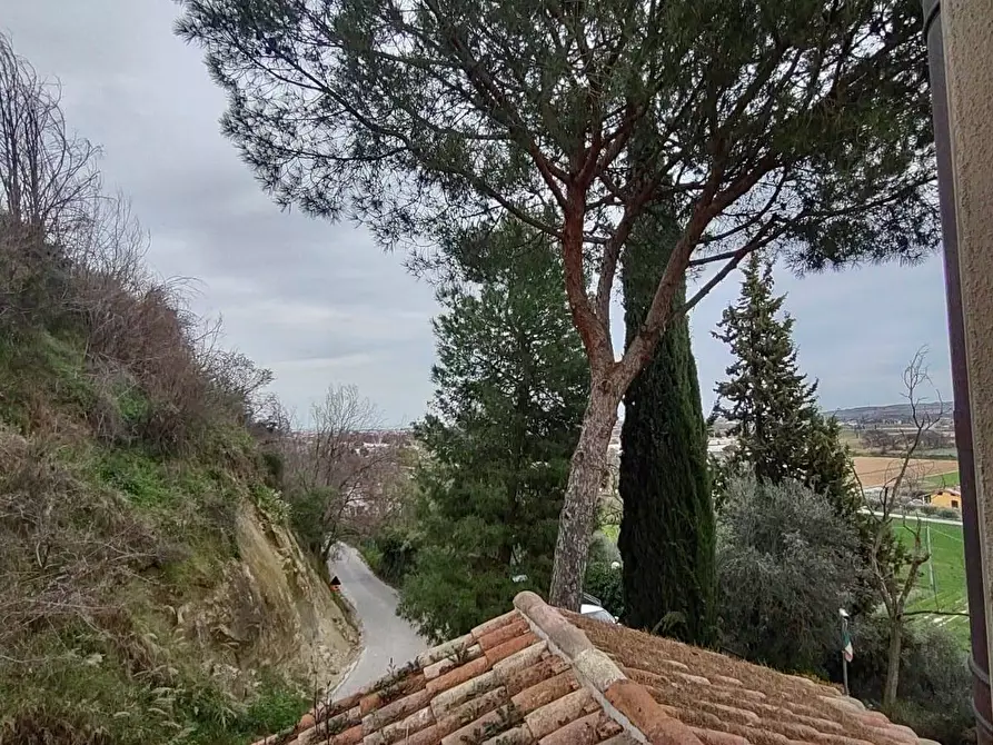 Immagine 21 di Camera in affitto  in Flaminia a Fano