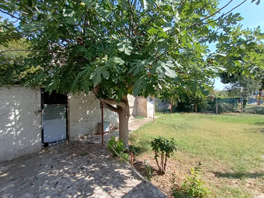 Immagine 16 di Appartamento in affitto  a Pesaro