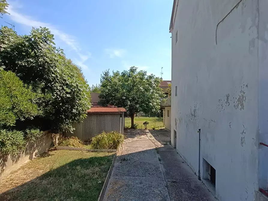 Immagine 17 di Appartamento in affitto  a Pesaro