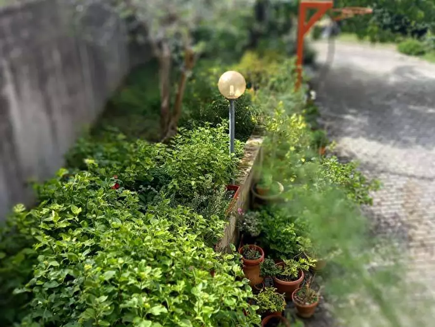 Immagine 9 di Agriturismo in vendita  in Strada Borgo Santa Lucia a Pesaro