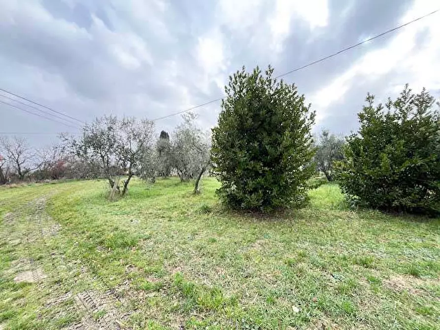 Immagine 8 di Rustico / casale in vendita  in strada Flaminia a Fano